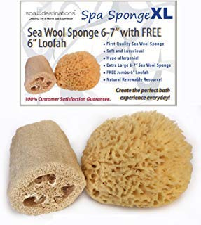 Spa Destinations 6-7 inch Sea Wool Sponge with Free 6 inch Loofah (loofa, lufa) for Bath and Shower