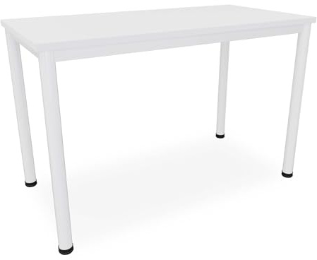 Dila GmbH Schreibtisch/Besprechungstisch in verschiedenen Größen und Farben weißes Metallgestell Konferenztisch Arbeitstisch (B: 120 cm x T: 60 cm, Weiß)