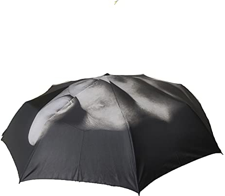Hwydo Middle Finger Umbrella up Yours Regenschirm/Regenschirm