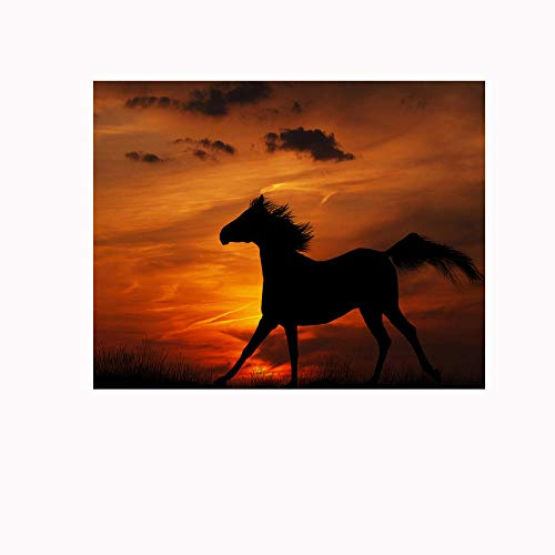 Fotomurales Autoadhesivo Caballo corriendo 300x200cm Decoración de Pared decorativos Murales moderna de Papel Pintado Sala Living Oficina Dormitorio