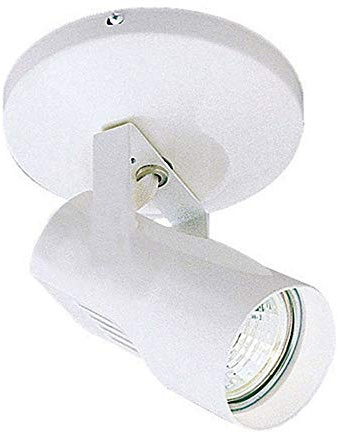 WAC Lighting, Monopoint 007 Spot Light in White