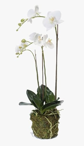 artplants.de Künstliche Orchidee Phalaenopsis Pabla im Erdballen, weiß - gelb, 70cm - Hochwertige Kunstorchidee | Weiß-Gelb – Orchidee Kunststoff – künstliche Orchidee