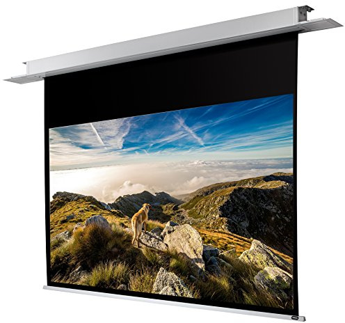 Celexon Montage au Plafond Moteur Professionnel 280 x 175 cm 16:10