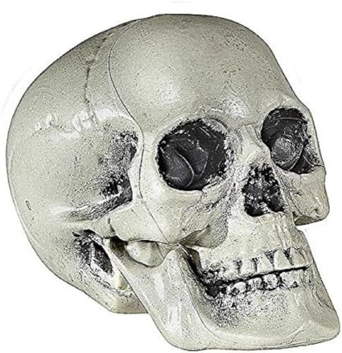 W WIDMANN MILANO Party Fashion - 01379 - Teschio di plastica, 21 cm, decorazione per feste, Halloween, carnevale, festa a tema