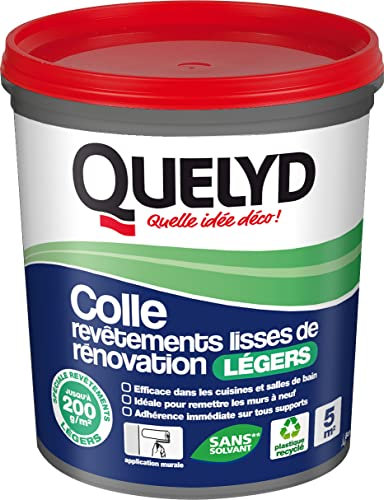 Quelyd Colle Revêtements Lisses de Rénovation Légers - Application Murale - Efficace en Cuisines et Salles de Bain - Tous Supports - 1 Pot 1 kg