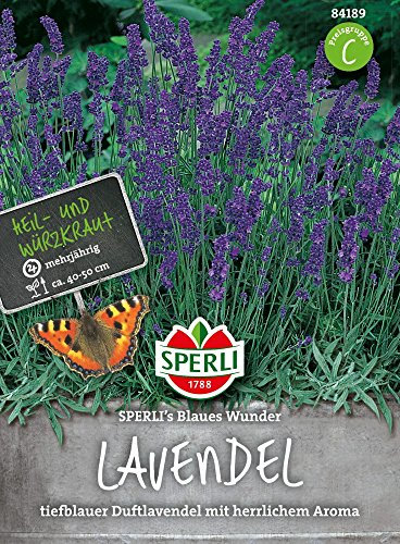 Sperli 84191 Lavendel (Lavendelsamen)