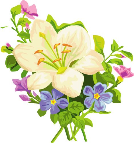 Indigos 4052166724937 Sticker Mural ME437 Belle orchidée 96 x 90 cm