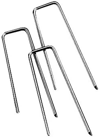 Rayher 2106500 Strohblumennadeln, Beutel 100 Stück, 25 x 5 mm, für floristische Arbeiten, Kränze, Gestecke