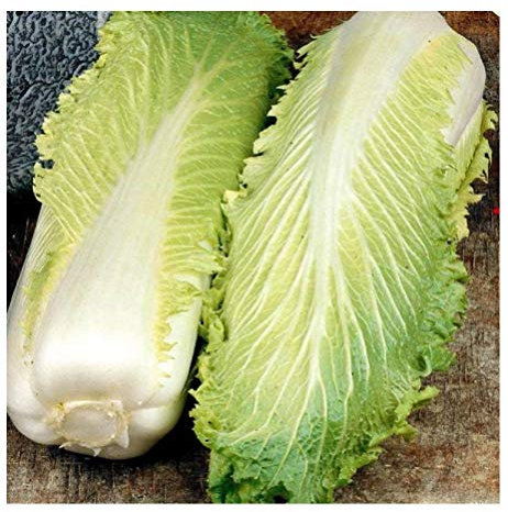 PREMIER SEEDS DIRECT - Chinese Cabbage - MICHIHILI - 1000 Finest Seeds