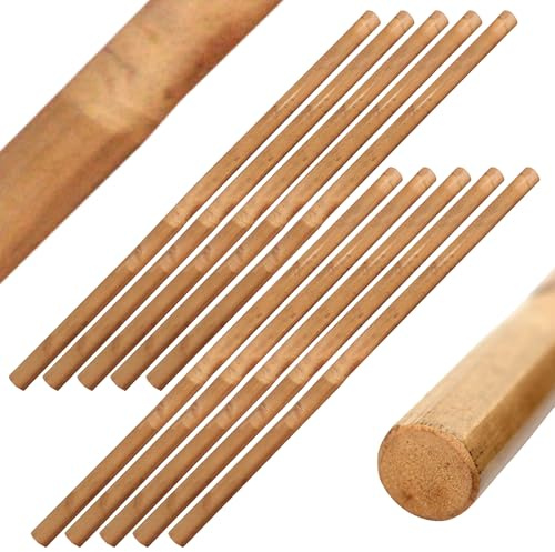 DEPICE 10er Pack Escrima Stock Rattan Natur ungeschält - ca. 70 cm lang, maximale Belastbarkeit, für Eskrima, Arnis, Kali etc.
