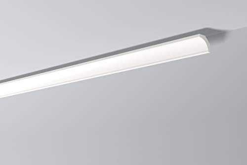 50 m coving (NMC NOMASTYL® Plus B5)