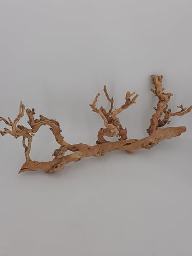 SAHAWA Weinrebe, Rebenholz, verästelt, sandgestrahlt, Verschiedene Größen, Terrarium Deko, Sitzstange, Vogelsitzplatz, Käfigzubehör, Floristik und Raumschmuck