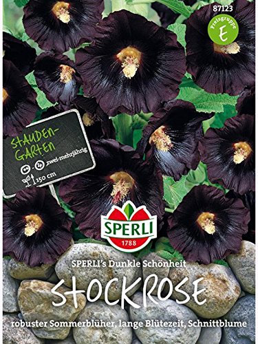 Sperli Blumensamen Stockrosen Dunkle Schönheit, grün