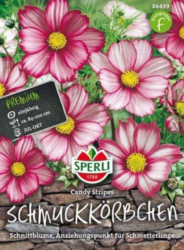 Sperli Schmuckkörbchensamen Candy Stripes 86499, Blumensaat | Als Schnittblume, einjährig, für Beet, Rabatte & Kübel