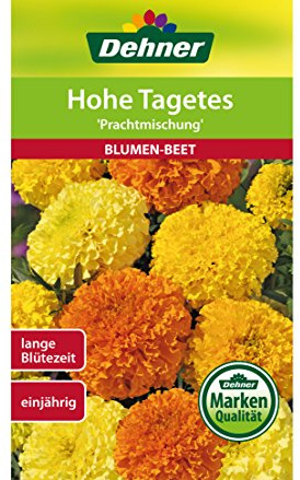 Dehner Blumen-Saatgut, Hohe Tagetes Prachtmischung, 5er Pack (5 x 1.3 g)
