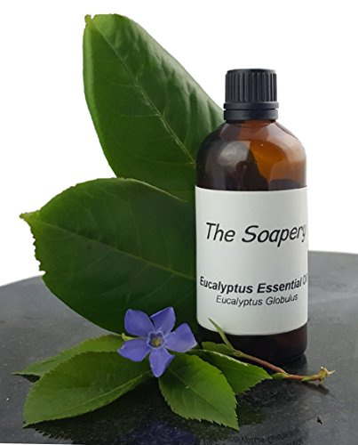 100ml Eucalyptus Essential Oil - 100% Pure and Natural by TheSoapery