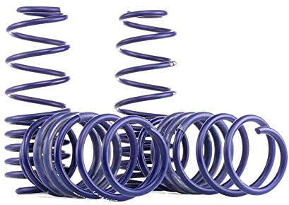 H&R HR 290121 Fahrwerksatz, Federn Sportfedersätze/Performance Lowering Springs von H&R (29012-1) Federsatz Federung/Dämpfung Schraubenfeder, Federung