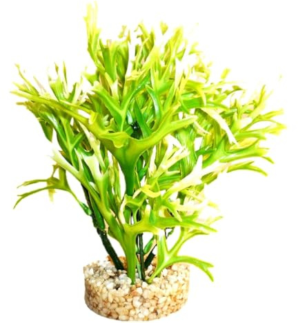 Sydeco Aqua Acuario Planta de Helecho Altura 19 cm, Color Verde