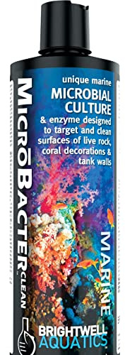 Brightwell Aquatics MicroBacter Clean - Microbial Culture & Enzyme Blend Fish Tank Cleaner - Cleans Live Rock Surfaces for Saltwater Fish Habitats - Aquarium Water Treatments, 8.45 fl oz