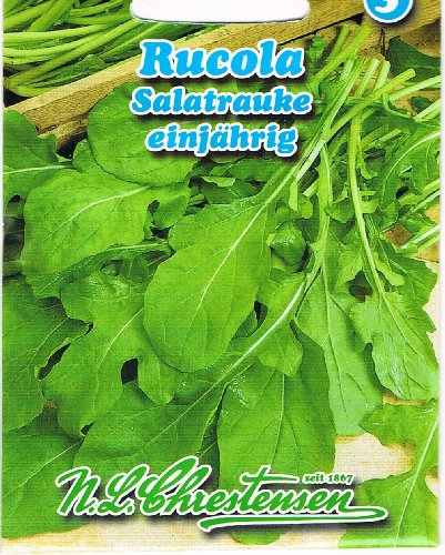 Rucola Salatrauke einjährig