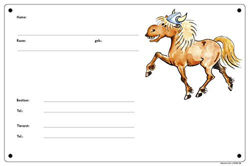 Boxenschild / Stalltafel Wikinger-Pony (Isländer / Islandpferd), Fuchs | 30 x 20 cm, wetterfest