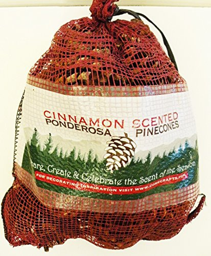 Cinnamon Scented Ponderosa Pinecones