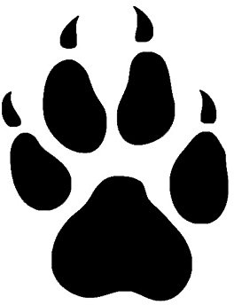 NetSpares Plott Aufkleber Pfote Kralle Hundepfote Hund Sticker Tuning Autoaufkleber