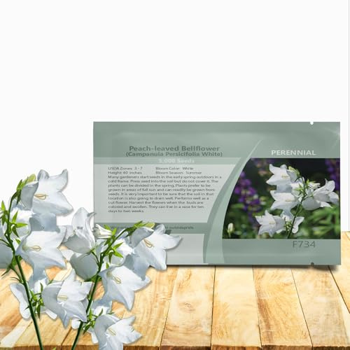 Outsidepride Peach-leaved White Bellflower Seeds for Planting - 5000 Pcs Perennial Mat-Forming Flower with Bell Shaped Blooms & Low Growth Habit for Edging Pollinator Gardens, Containers, & Borders