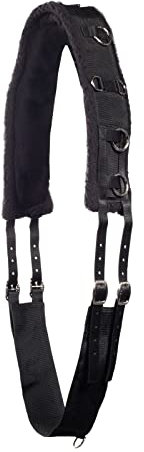 HORZE Trainingsgurt - Schwarz - Pony
