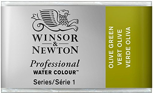 Winsor & Newton 0100447 Professional Aquarellfarbe, lebendige Wasserfarben in Künstlerqualität, hohe Farbbrillanz & Leuchtkraft, lichtecht, Archivqualität, ganzer Napf - Olivgrün