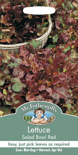 Mr Fothergill's 18911 Vegetable Seeds, Lettuce Salad Bowl Red