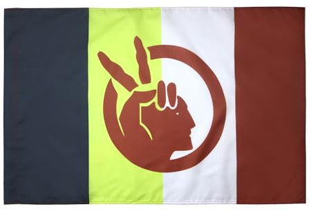 AZ FLAG Bandiera Movimento dei nativi americani 90x60 cm Asola | Uso interno ed esterno bandiera decorativa del American Indian Movement doppie cuciture e bordi rinforzati poliestere 100D