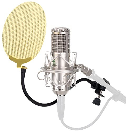 Pronomic CM-100S Studio Großmembranmikrofon XLR-Kondensatormikrofon inkl. Popkiller Set (mit Mikrofonspinne, Etui, Windschutz, Reduziergewinde und Mikro Popschutz) silber