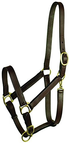 Gatsby Leather Company 203S/4 Stallhalfter mit Druckknopf