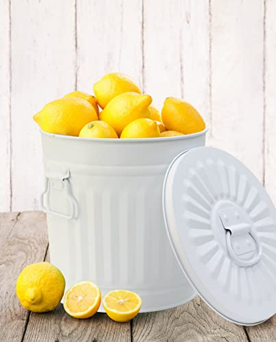 Jinfa Pattumiera grande secchio spazzatura in metallo bidone rifiuti commerciali cestino immondizia | Bianco | Ø 42 cm, h 47,5 cm | Capienza 62 litri