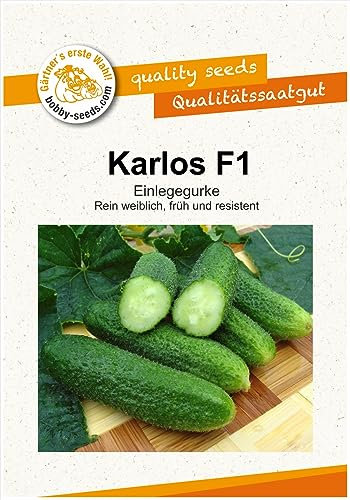 Gurkensamen Karlos F1 Einlegegurke Portion