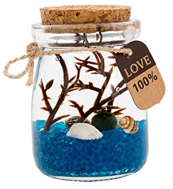 OMEM Marimo Ball Glas-Aquarium-Kit für Desktop-Dekoration, Zuhause, Urlaub, Party, Geschenke