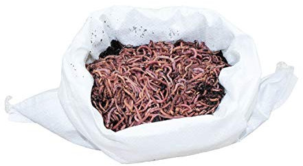SUPERWURM - Compost vermi e lombrichi, 0,5 kg.