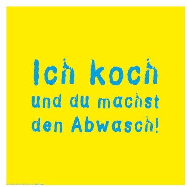 Rannenberg Spültuch Geschirrtuch Microfaser 30 x 30 cm Ich koch und du machst den Abwasch