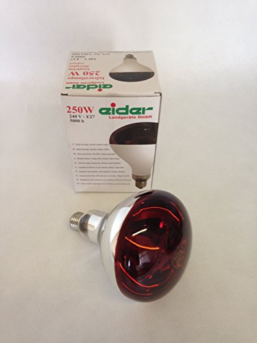 doghealth Infra Red Heat Lamp and Bulb 250W