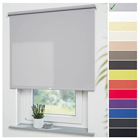 Liedeco® Rollo, Spring-, Schnapprollo / 102 x 180 cm (Breite x Höhe), hellgrau/lichtdurchlässig, Blickdicht/viele Farben, Größen und Typen/Breiten 60-200 cm/Variable Montage möglich