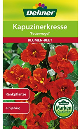 Dehner Blumen-Saatgut, Kapuzinerkresse Feuervogel, 5er pack (5 x 4.5 g)