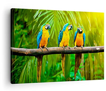 ARTTOR Tableau sur Toile Décoratif 70x50 cm Botanique Nature - 2696 | Perroquets Coloré Impression sur Toile Décoration Murale Art Mural Toile Imprimée Salon Chambre Cuisine ARTTOR