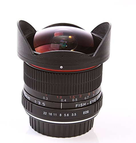 Fotga Objectif Fisheye Pro 8 mm 1:3,5 avec pare-soleil amovible pour Canon EOS 1D 700D 650D 600D 550D 500D 1100D 100D 100D 100D 7D 70D 60Da 60D T5i SL1 T3i T5 T3 T4i T2i T1. i XTi XT XS D30 50D 40D 30D 20D 20Da 10D Digital Rebel