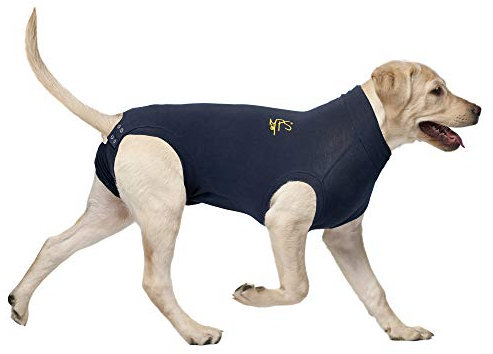 MPS Medical Pet Shirt, Blau, für mittelgroße Hunde, M
