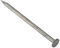 Forgefix RH100GB21 Clavo de Cabeza Redonda galvanizado 100 mm Bolsa de 2,5 kg, Multicolor, 0