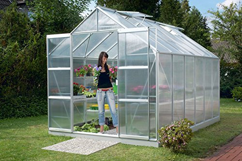 Vitavia Gewächshaus Mars - Ausführung: 9900 HKP 4 mm Alu, Fläche: ca. 9,9 m², Fenster: 2, Maße: 257 x 383 cm, Sockel: 255 x 379 cm,