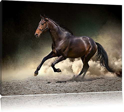 Pixxprint Schwarzes Pferd, Sonnenuntergang, Größe: 100x70cm, Leinwandbild, fertig gespannt, Wandbild, Dekoration, Kunstdruck, kein Poster
