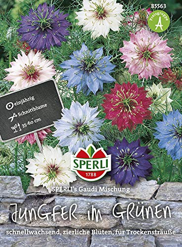 Sperli-Samen Jungfer im Grünen SPERLI's Gaudi Mischung