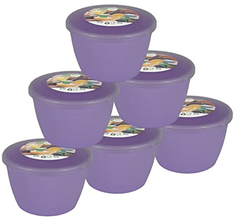 Just Pudding Basins Pastel Colours 1/2 Pint 0.5pt Basin and Clear Lid Pack of 6 Plastic Steaming Bowls (Lilac)